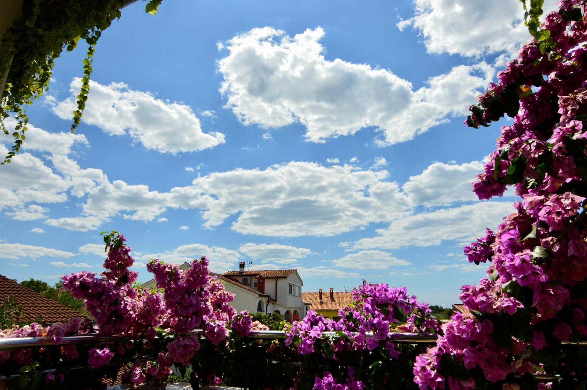 Gargamelo Pension Porec Luaran gambar
